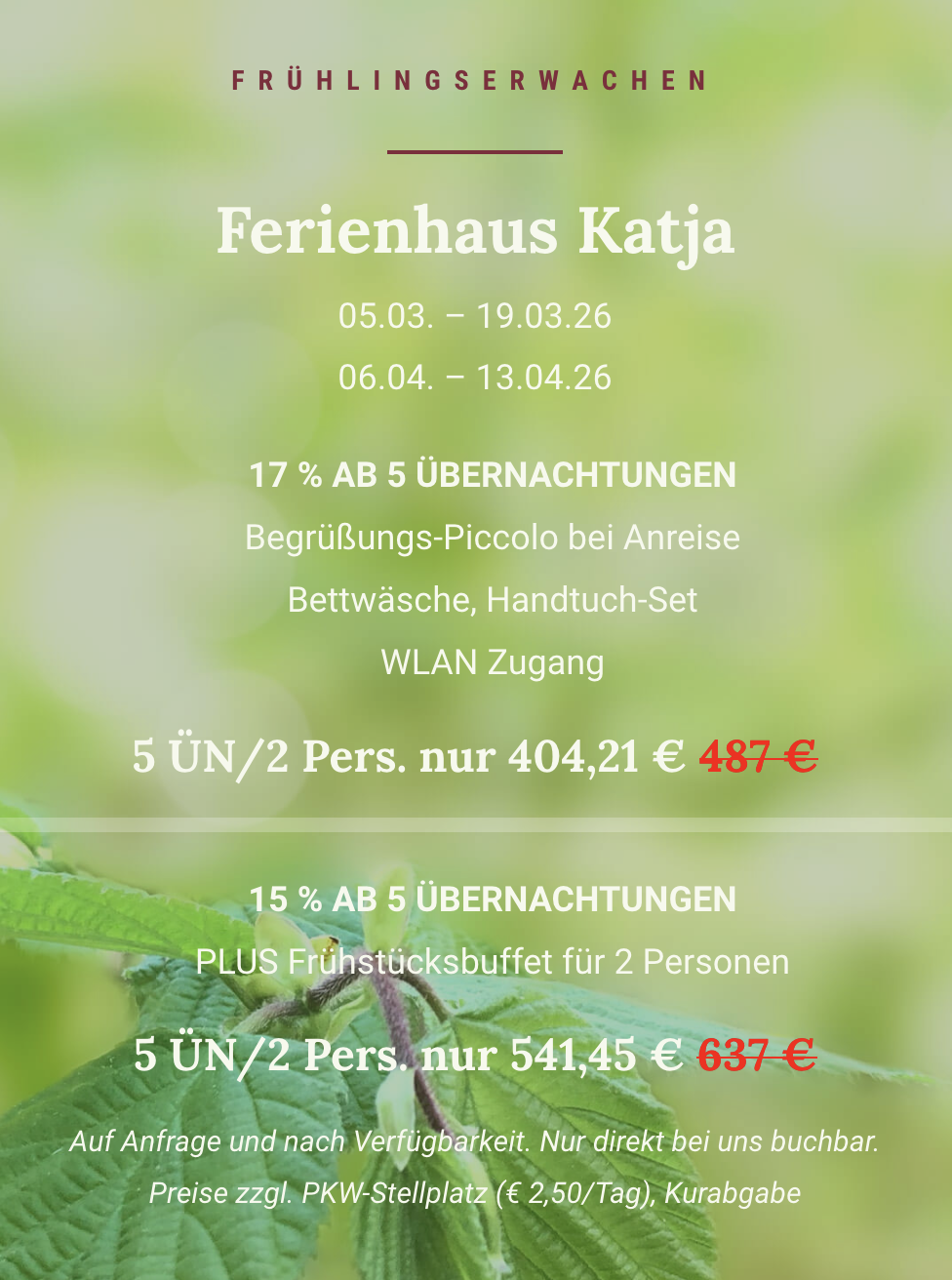 Angebot Frühjahr